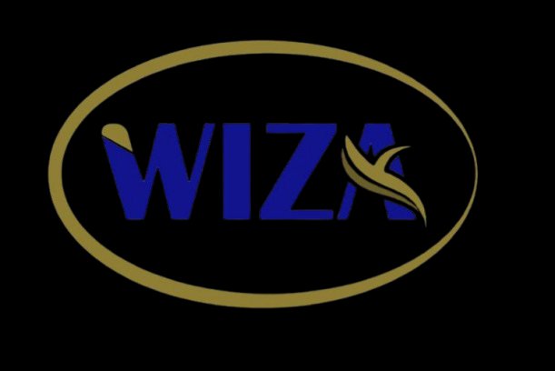 Wiza CMC Africa Limited logo